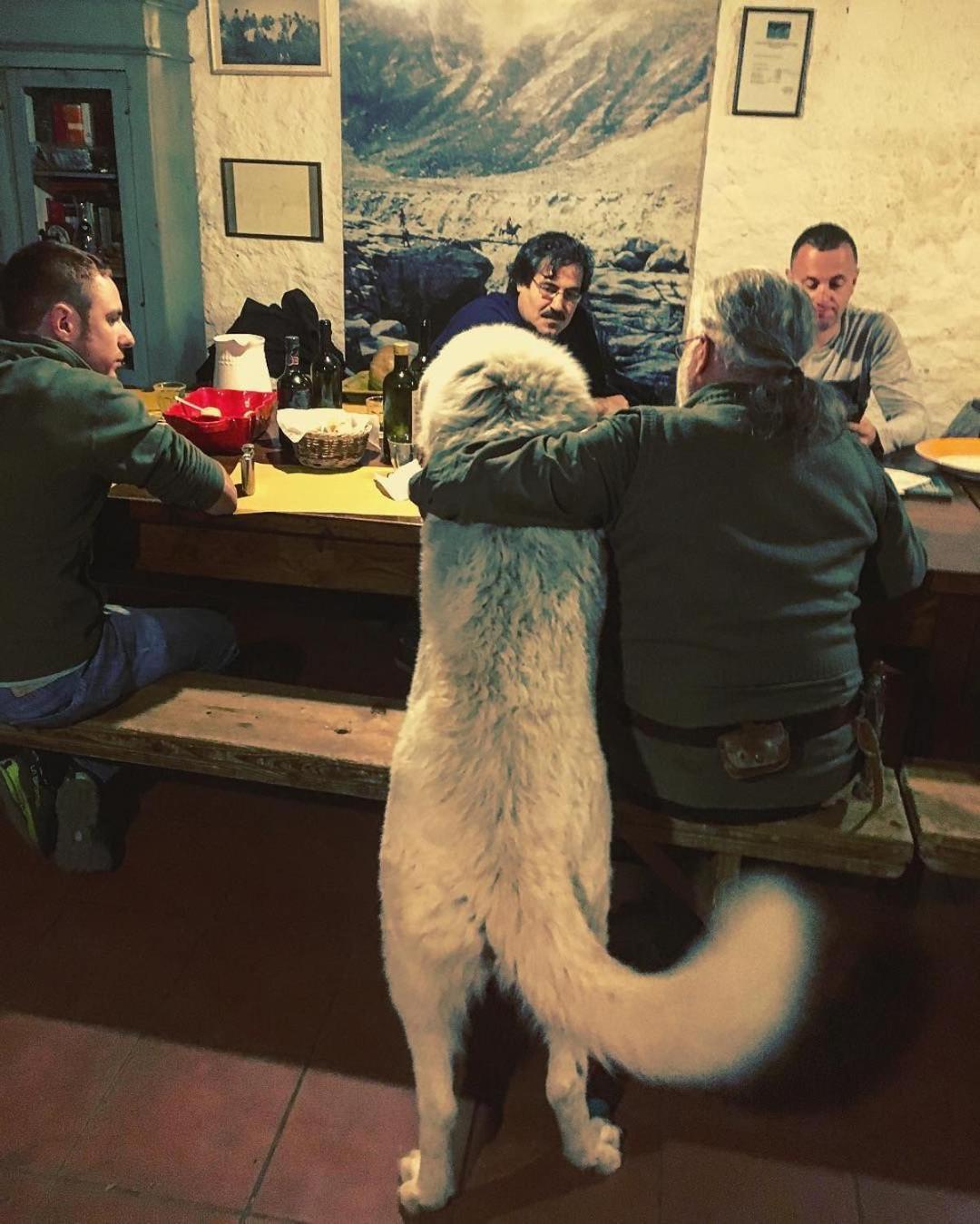 Centro Trekking A Cavallo Monte Brugiana Guest House Massa  Luaran gambar