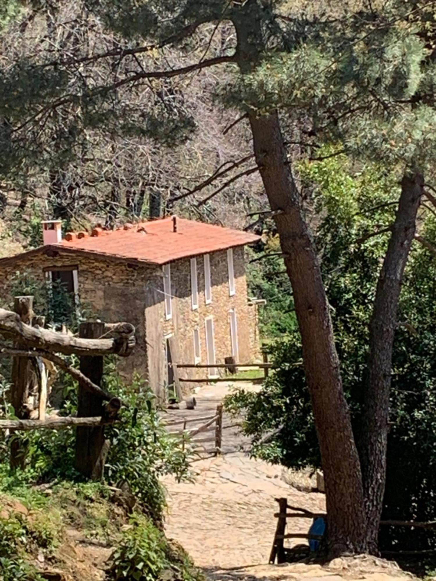 Centro Trekking A Cavallo Monte Brugiana Guest House Massa  Luaran gambar