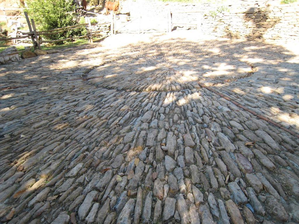 Centro Trekking A Cavallo Monte Brugiana Guest House Massa  Luaran gambar
