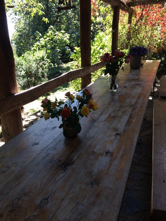 Centro Trekking A Cavallo Monte Brugiana Guest House Massa  Luaran gambar